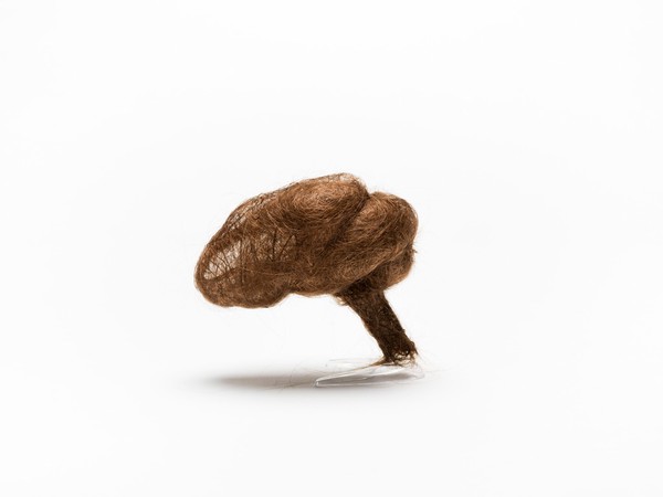 Hair brain sculpture
