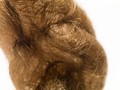 view Hair brain sculpture
