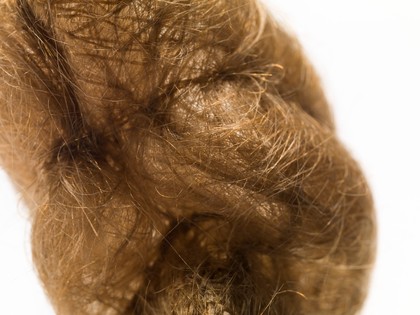 Hair brain sculpture