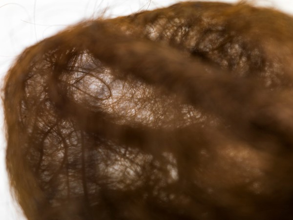 Hair brain sculpture