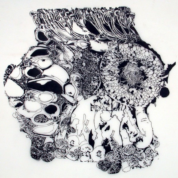 Testis, illustration.