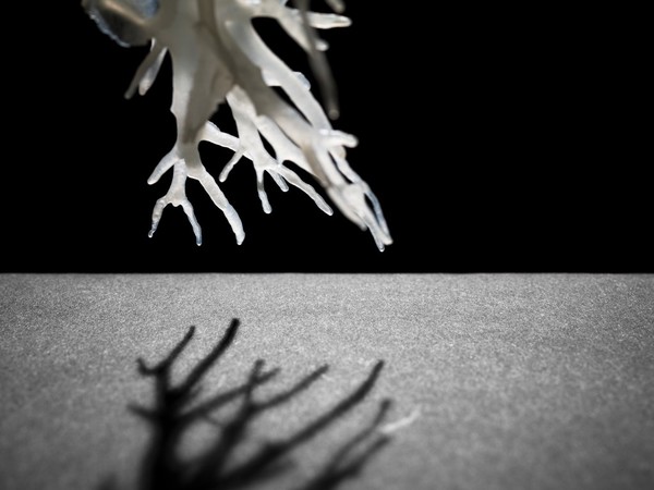 Internal structure of the lungs, 3D printed plastic