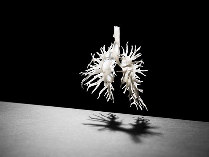 Internal structure of the lungs, 3D printed plastic