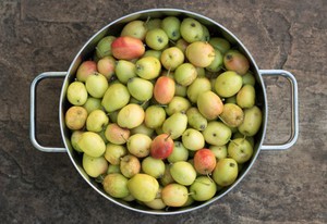 view Crab apples (Malus sylvestris) otherwise known as the European apple are a small variety of apple commonly used for the production of jam and wine. They have the reputation of being sour, and therefore do not tend to be eaten raw.