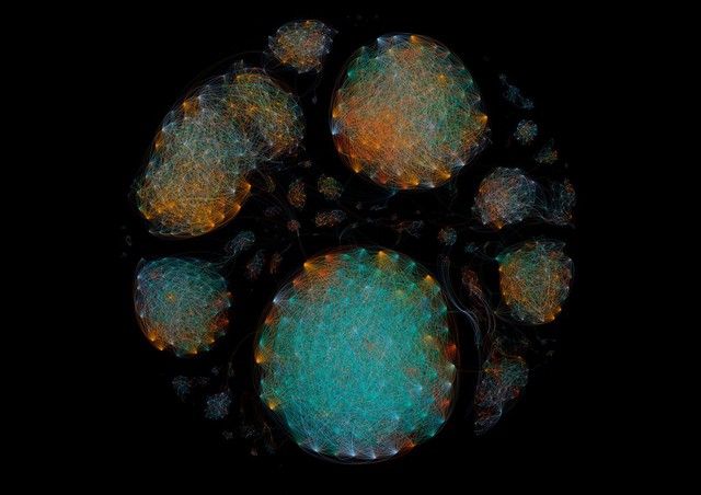 Bacterial microbiome mapping, bioartistic experiment