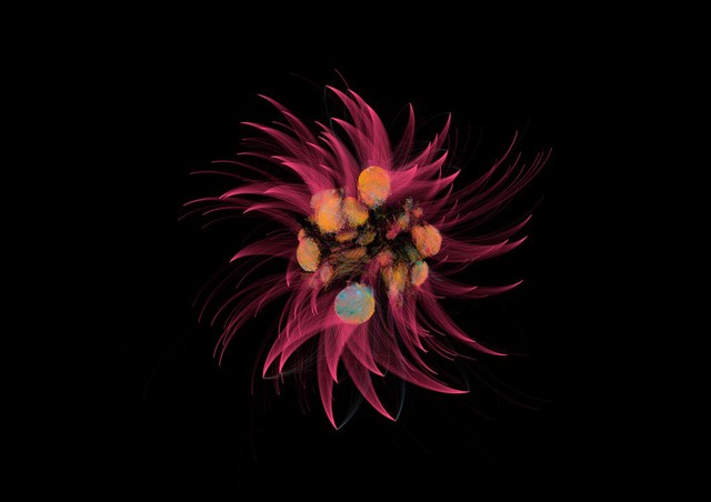 Bacterial microbiome mapping, bioartistic experiment