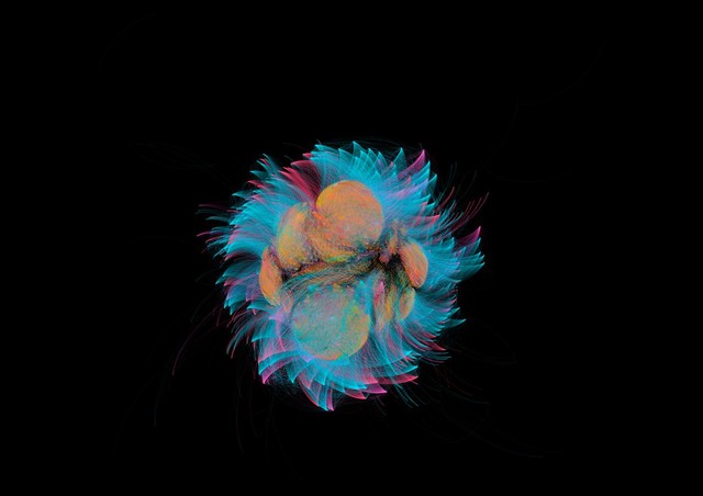 Bacterial microbiome mapping, bioartistic experiment