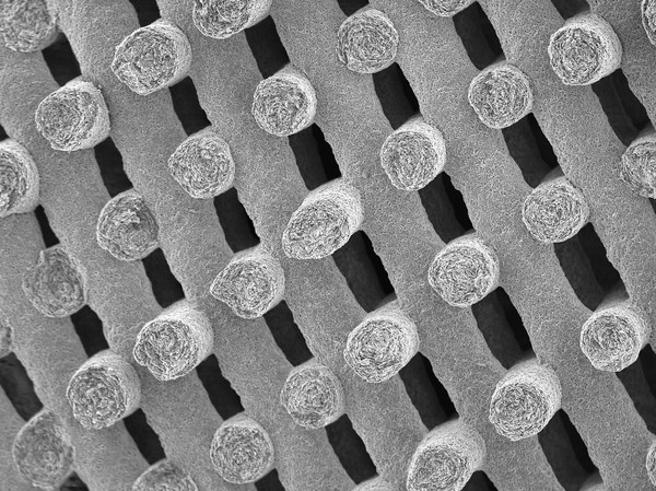 3D printed bioglass lattice, SEM