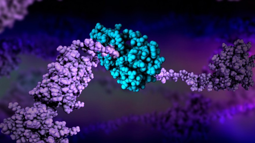 HIV enzyme protease