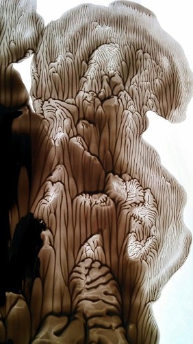 Folded cortex, decalcomania