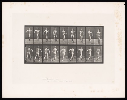 A man speed-walking. Collotype after Eadweard Muybridge, 1887.