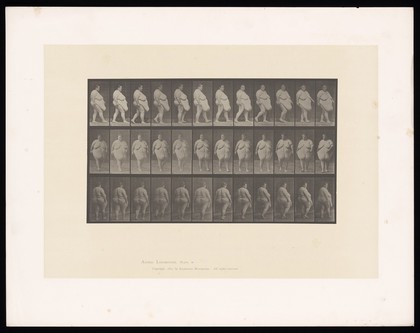 An obese woman walking. Collotype after Eadweard Muybridge, 1887.