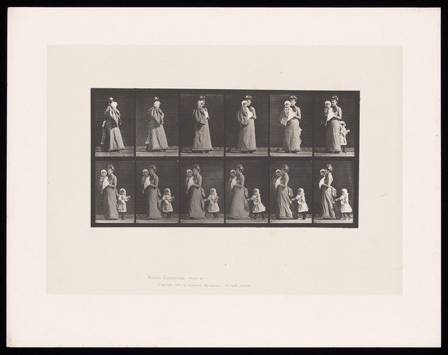 digitised image 1
