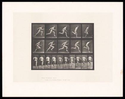 A man sprinting. Collotype after Eadweard Muybridge, 1887.