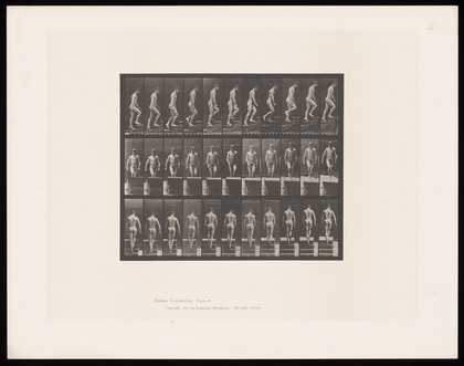 A man walking up stairs. Collotype after Eadweard Muybridge, 1887.