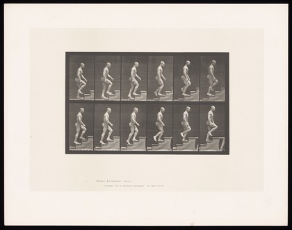A man walking up stairs. Collotype after Eadweard Muybridge, 1887.