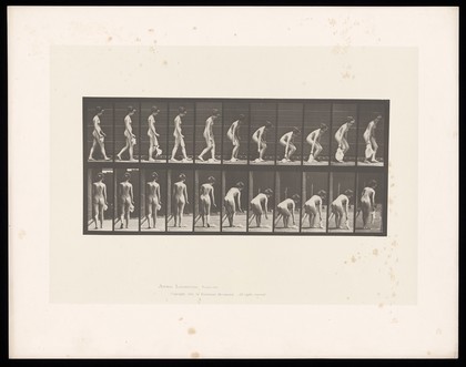 A woman picking up a piece of cloth. Collotype after Eadweard Muybridge, 1887.