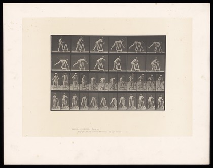 A woman leaning over a trestle to pick up a pot. Collotype after Eadweard Muybridge, 1887.