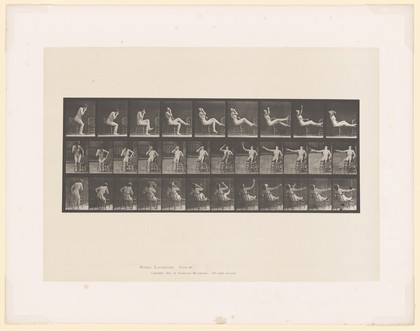 A woman sitting naked on a chair and smoking. Collotype after Eadweard Muybridge, 1887.