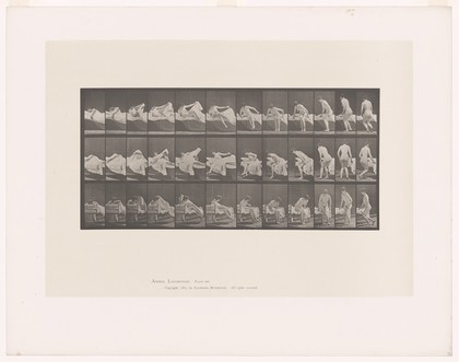 A woman getting out of a bed. Collotype after Eadweard Muybridge, 1887.