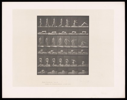 A woman tripping over a bed. Collotype after Eadweard Muybridge, 1887.