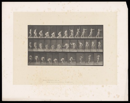 A woman picking up a ball and throwing. Collotype after Eadweard Muybridge, 1887.