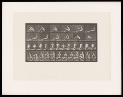 A man rowing. Collotype after Eadweard Muybridge, 1887.