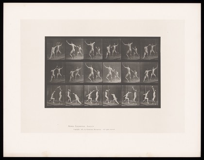 Two men fencing. Collotype after Eadweard Muybridge, 1887.