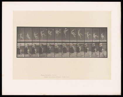 A man performing a flying somersault. Collotype after Eadweard Muybridge, 1887.