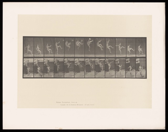 A man performing a flying kick . Collotype after Eadweard Muybridge, 1887.