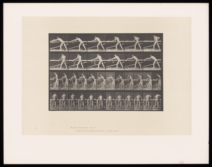 A carpenter planing. Collotype after Eadweard Muybridge, 1887.