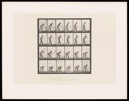 A clothed man digging with a pickaxe. Collotype after Eadweard Muybridge, 1887.