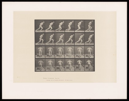 A man pushing a roller. Collotype after Eadweard Muybridge, 1887.