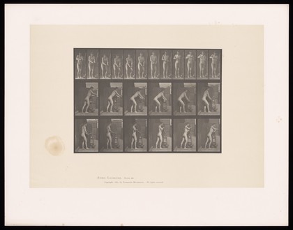 A man turning a handle. Collotype after Eadweard Muybridge, 1887.