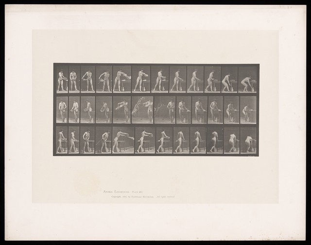 No text description is available for this image