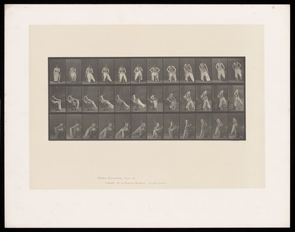 A woman sitting on a chair and putting a pair of bloomers on. Collotype after Eadweard Muybridge, 1887.