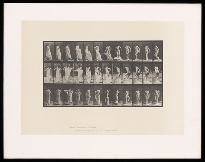 A woman undressing. Collotype after Eadweard Muybridge, 1887.