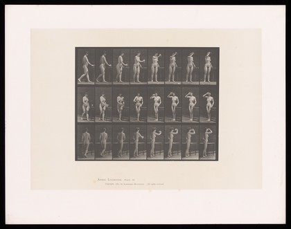 A woman drinking out of a goblet. Collotype after Eadweard Muybridge, 1887.