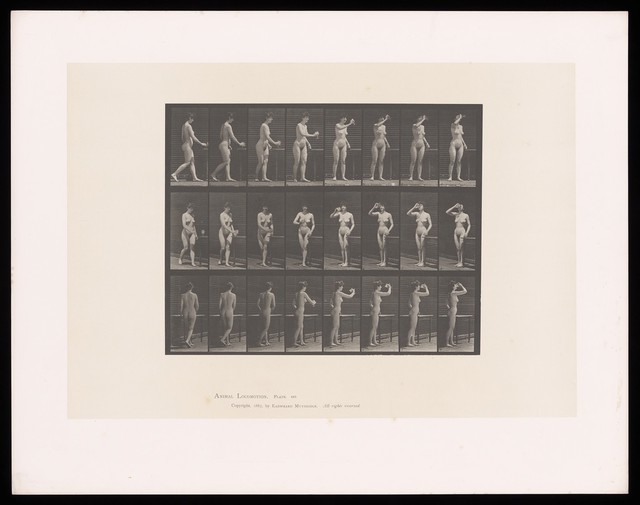 digitised image 1