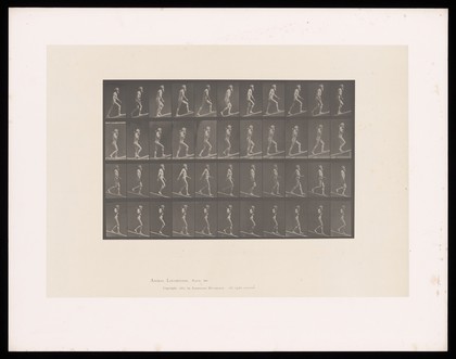 E. Muybridge ascending an incline and descending an incline. Collotype after Eadweard Muybridge, 1887.