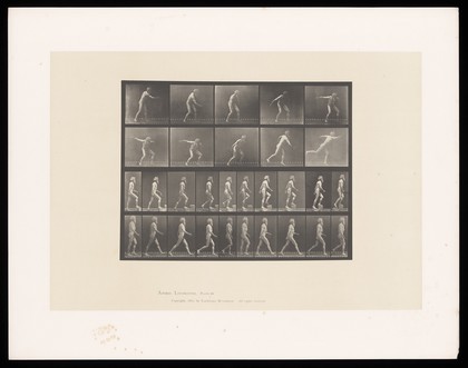 E. Muybridge throwing a disc, ascending stairs, and walking. Collotype after Eadweard Muybridge, 1887.