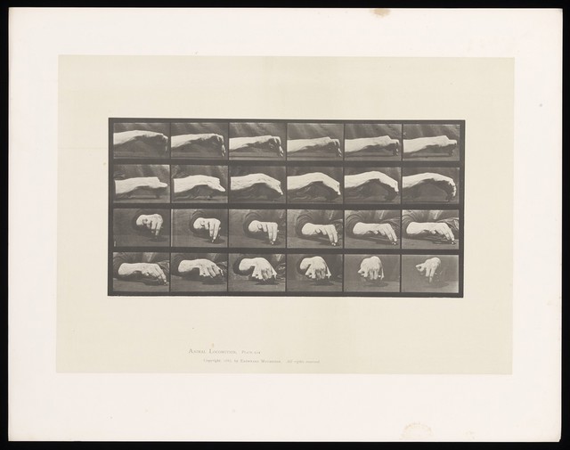 No text description is available for this image