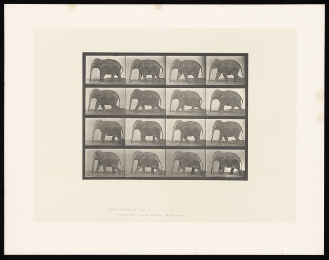 digitised image 1