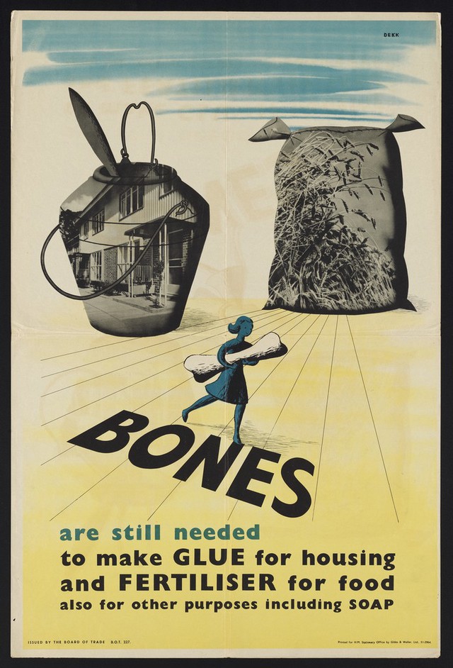 digitised image 1