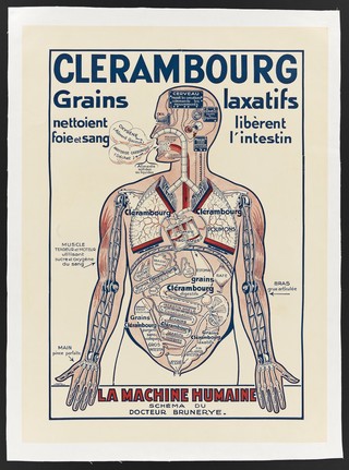 Organs of the human body illustrating the function of the "Clérambourg" laxative. Colour lithograph by Jakil, ca. 1930.