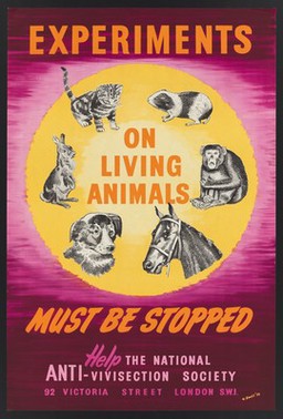 Animals presented as typical victims of vivisection. Colour lithograph, by H. Doust, 1956.
