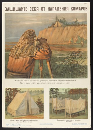Malaria: precautions taken by surveyors and other land workers in rural areas of Russia. Colour lithograph after A.D. Polumordvinov and others, 1953.