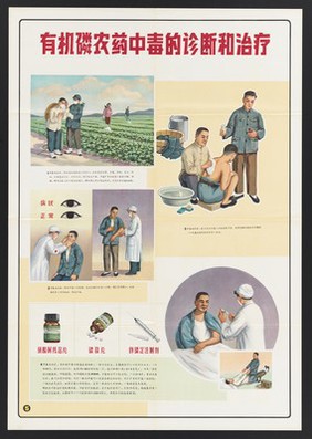 Guidance on the safe use of phosphate insecticides in China. Colour lithographs, 1963.