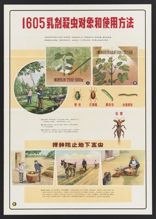 Guidance on the safe use of phosphate insecticides in China. Colour lithographs, 1963.