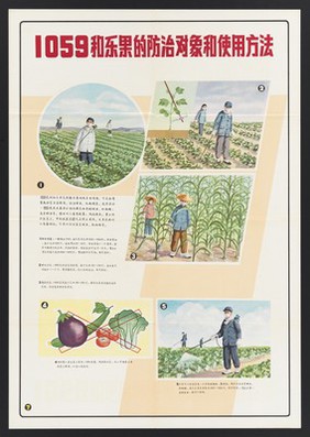 Guidance on the safe use of phosphate insecticides in China. Colour lithographs, 1963.